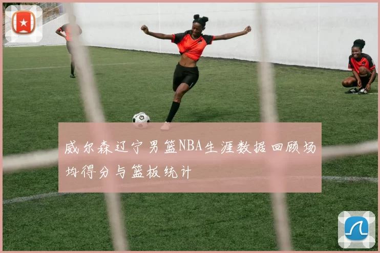威尔森辽宁男篮NBA生涯数据回顾场均得分与篮板统计