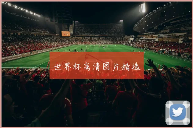 世界杯高清图片精选