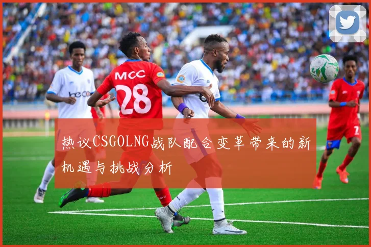 热议CSGOLNG战队配合变革带来的新机遇与挑战分析