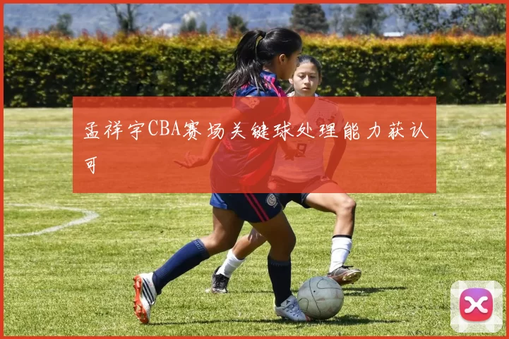 孟祥宇CBA赛场关键球处理能力获认可