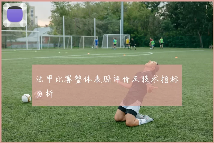 法甲比赛整体表现评价及技术指标分析