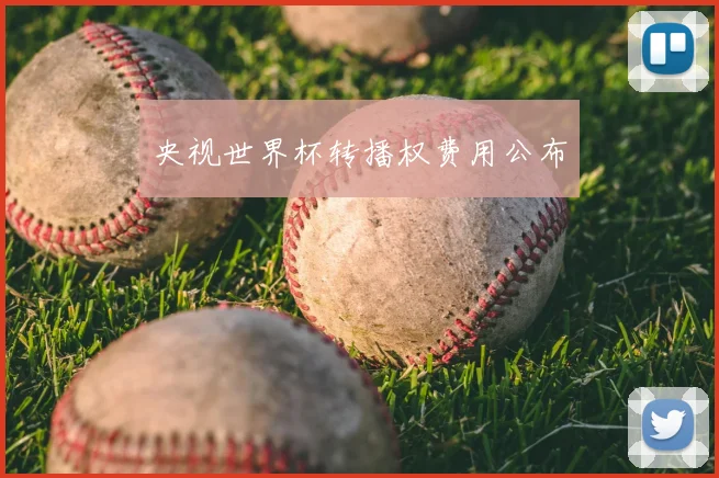 央视世界杯转播权费用公布