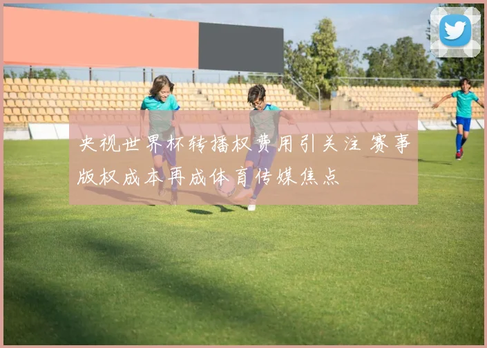 央视世界杯转播权费用引关注 赛事版权成本再成体育传媒焦点