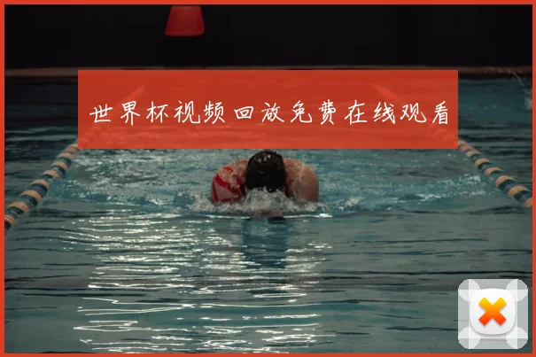 世界杯视频回放免费在线观看