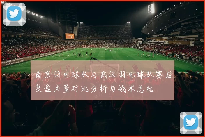 南京羽毛球队与武汉羽毛球队赛后复盘力量对比分析与战术总结