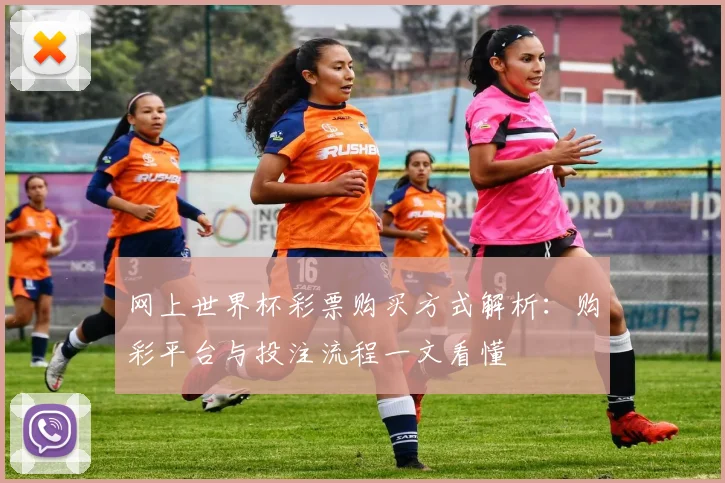 网上世界杯彩票购买方式解析：购彩平台与投注流程一文看懂