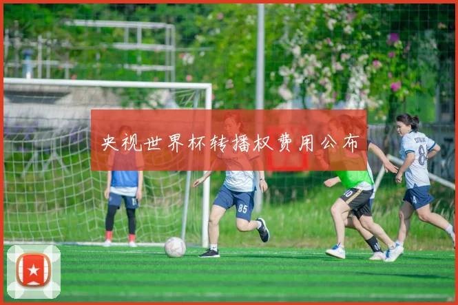 央视世界杯转播权费用公布